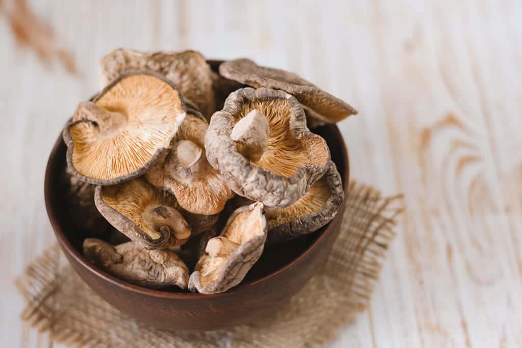 Os benefícios do cogumelo na culinária 