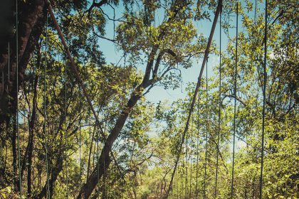 Turismo em Brotas (SP)