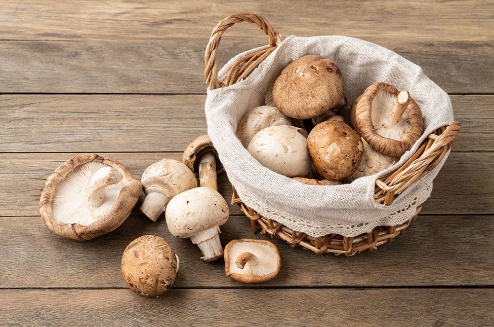 Como preparar os cogumelos Paris, shiitake e shimeji