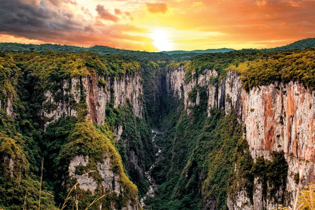 Cânios em Cambará do Sul