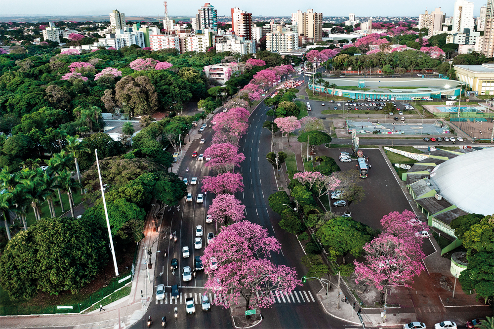 avenida colombo